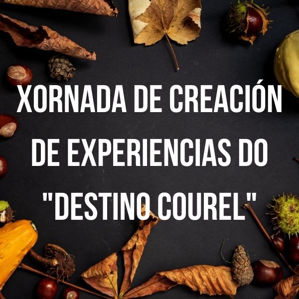 XORNADA DE CREACION EXPERIENCIAS